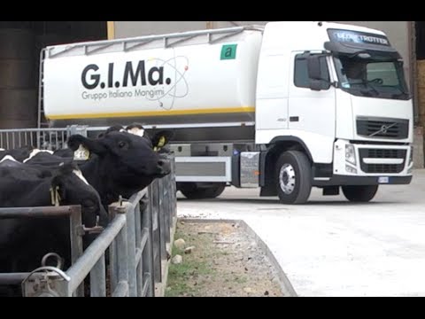 Trattamento del bambino per vermi nemozoly Aringa video con vermi