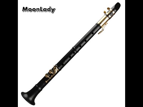 Simple small saxophone instrument treble tenor authentic beginner mini pocket 18 scales saxphone