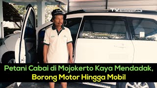 Petani Cabai di Mojokerto Kaya Mendadak, Borong Motor Hingga Mobil