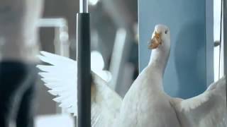 Aflac Duck in the Hospital   Eye of the Tiger Comm