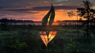 Trespassers William - Different Stars (Wasted Land Remix)