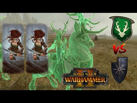 WILD BLADESINGER BUILD - Wood Elves vs Chaos | Total War Warhammer 2