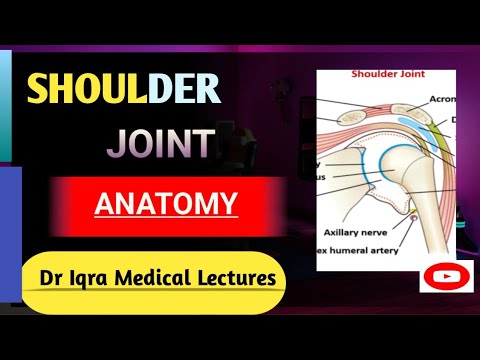 Shoulder Joint 3d Anatomy Tutorial |Simplified | Muscles & Bones | Ligaments | Movements