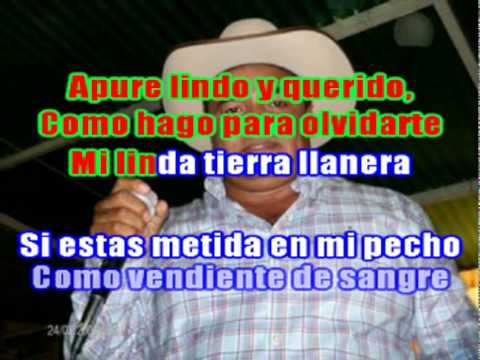 karaoke apure lindo y querido vitivo castillo demo
