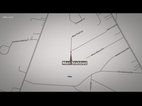 Lexington County Recent Arrests