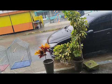 Chuva em Santa Maria do Cambucá -PE