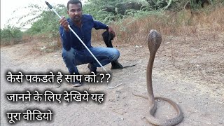 कैसे पकडते है सांप, जानने के लिए इस वीडियो को आखरी तक देखिये | How to catch snake..?