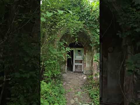 Silent walk through the abandoned palace of Svyatopolk-Chetvertinsk0