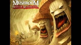 Infected Mushroom - Drum n Bassa.! (drum and bass genre).