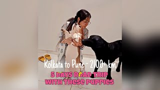 Road trip | Kolkata to Pune with pets | Pet friendly Stays | Tips and experience | Vlog 17