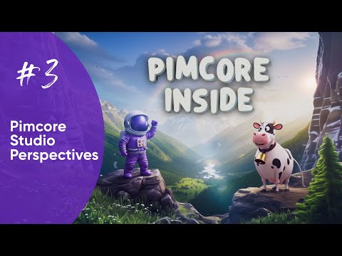 Pimcore Inside #3 — Perspectives and Widgets in Pimcore Studio