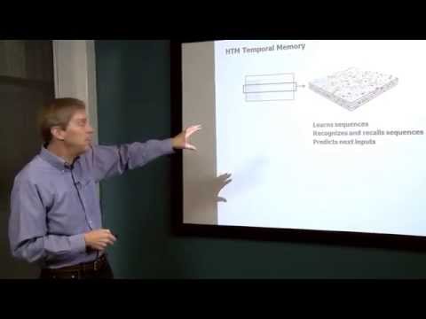 What the Brain says about Machine Intelligence