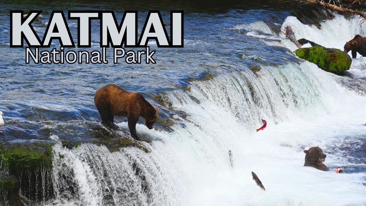 We Almost Didn't Make It to Katmai (The Honest Truth of what it’s like to visit)