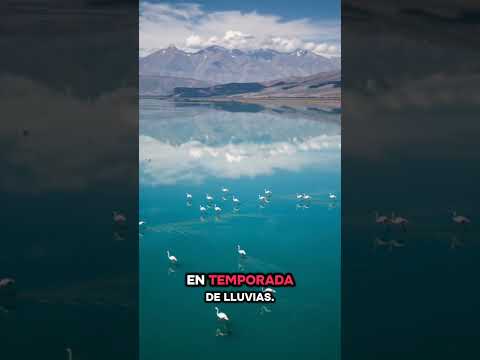 Salinas Grandes: 3,450 metros, un mar blanco que parece otro planeta ⬜ #shorts