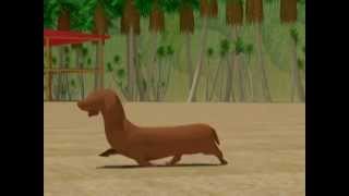 Archer walking on the beach