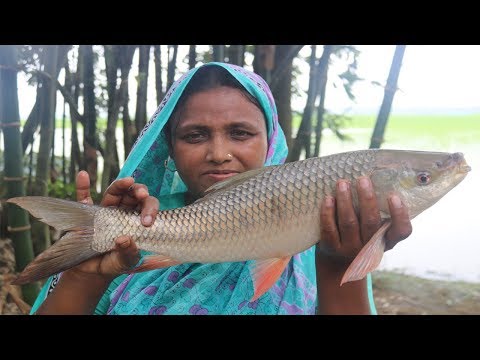 Village Food Rui Macher Jhol Recipe Delicious Spicy Cooking ALIVE Rui Fish Jhal Curry Bengali Style Video