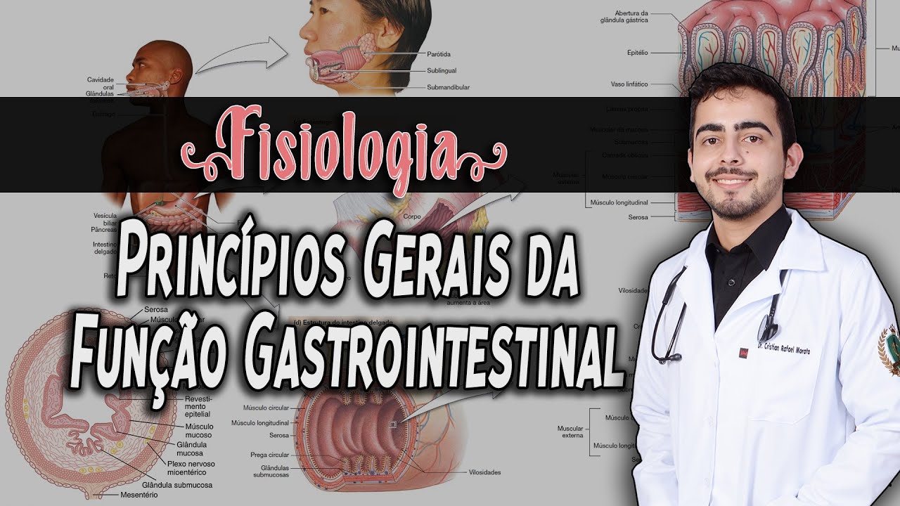 Fisiologia - Princípios Gerais da Função Gastrointestinal (Capítulo 63/62) PARTE 1/2 │ GUYTON