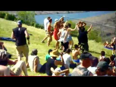 Crossing the Chasm in Consumer Markets: A Visual Example