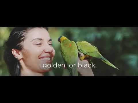 Guadeloupe Islands, the ultimate French Caribbean experience.