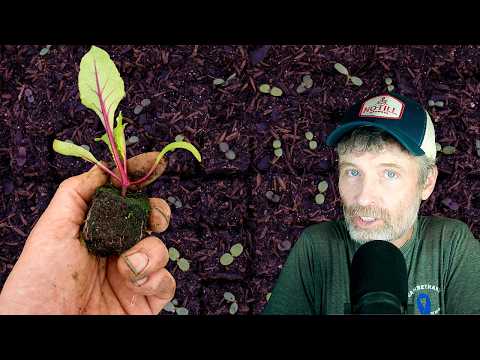 Enhancing Your Compost: The Role of Biochar Explained