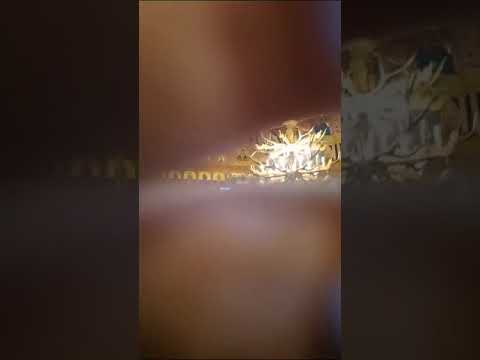 Veniți să ne închinăm,  Mănăstirea Movila lui Burcel