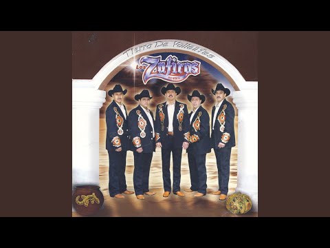 El Pocho De Apatzingan