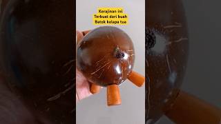 Download lagu Buah batok kelapa disulap jadi celengan unik #buahkelapa #kerajinantangan mp3