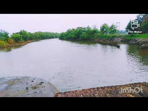 Vlog no 1! Srijoni! #nature🌱🌴🌳