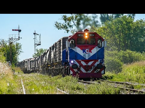 ¡Al OCHAZO! 🔊 GT22 9014 volando por Tortugas