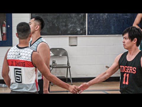 The Process vs Tigers | Sunday tier 5 semi finals - tcbl 2019 summer
