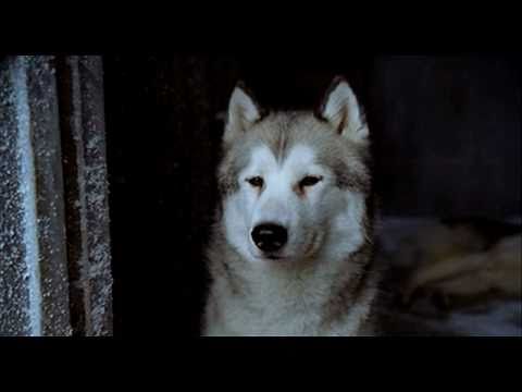 antarctica gefangen im eis trailer01 de 640