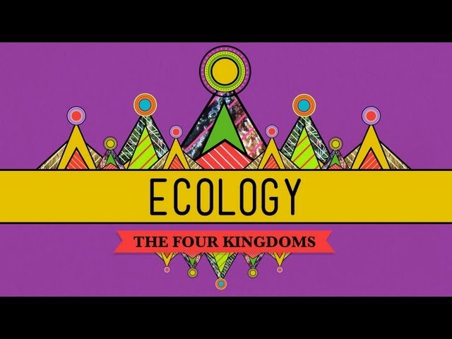 英语中ecology的视频发音