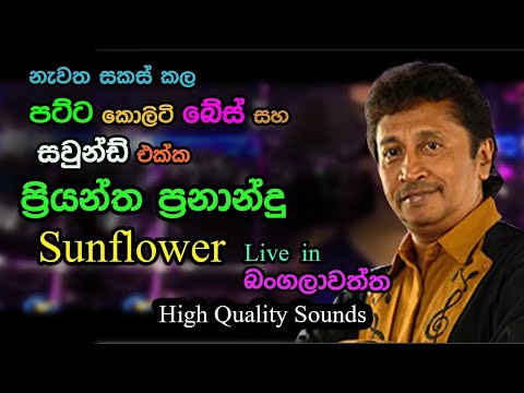 Priyantha Fernando with Sunflowers | Bangalawaththa |  Quality Sounds