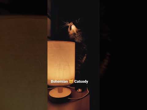 Bohemian Catsody