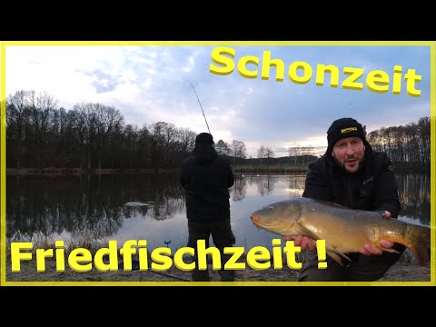 Friedfischangeln im Winter so fängt man große und kleine Fische