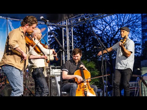 The Fretless | 2023 Tucson Folk Festival