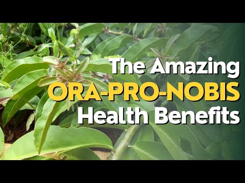 , title : '"Discover the Amazing Health Benefits of Ora-Pro-Nobis Plant"'