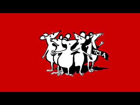 Topi con le ali - LIBERI (official audio)