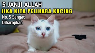 Download lagu 5 Janji Allah Bagi Yang Suka Memelihara Kucing | No. 5 Paling Diharapkan mp3