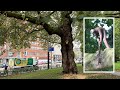 Houtzagertje in Leidsebosje is weg na 30 jaar