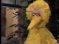 Sesame Street Elmo Ruthie Have A Sleepover With Big Bird