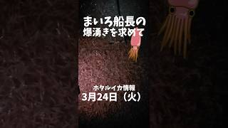 ホタルイカ調査3月24日糸魚川姫川港 #糸魚川ホタルイカ #新潟 #ほたるいか