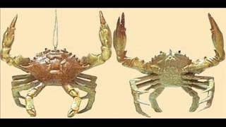 Crabs For Christmas -  David DeBoy