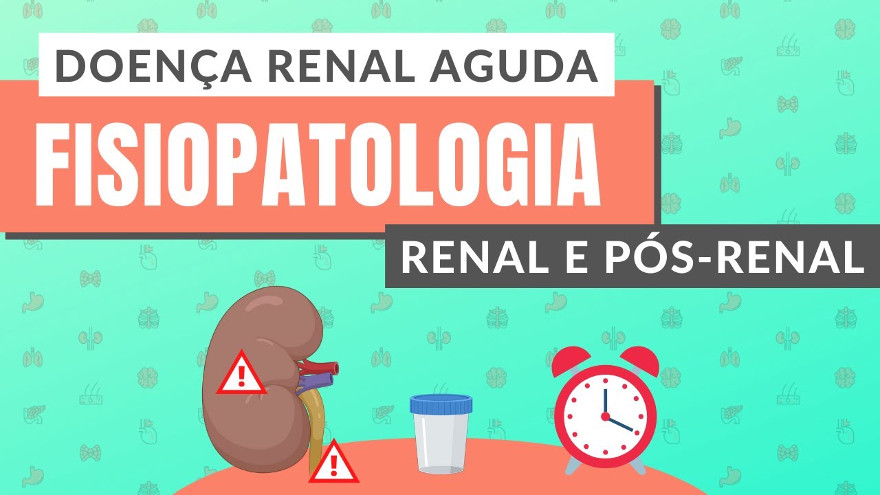 DOENÇA RENAL AGUDA I PARTE II: Fisiopatologia Renal e Pós-Renal