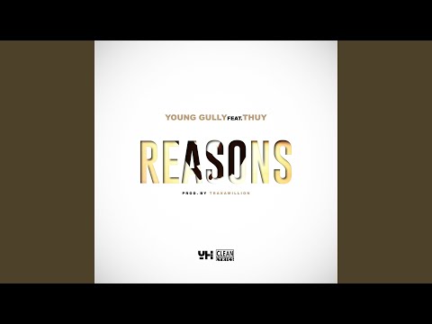 Reasons (feat. Thuy)