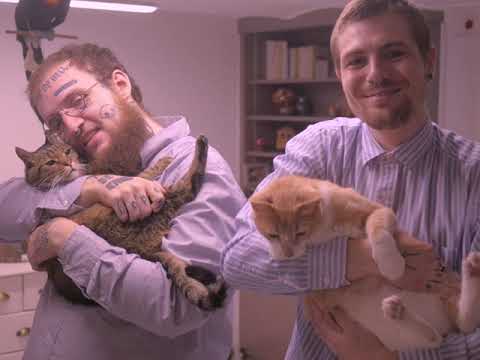 CG CAILLASSE x HORN - CERCLE (CLIP)