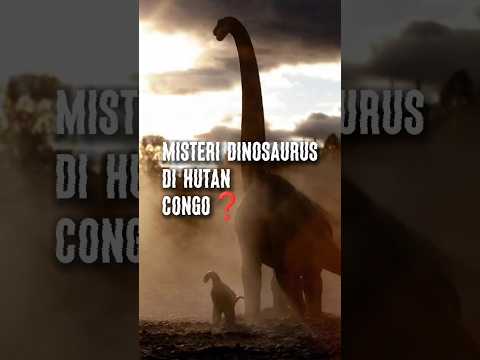 misteri hutan Congo #misteri #dinosaurs