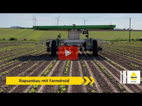 Rapsanbau mit dem FarmDroid