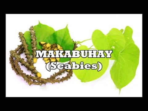Kung paano alisin ang taba mula sa hips sa isang maikling panahon Magsanay sa bahay para sa pagbaba ng timbang-download ng video torrent