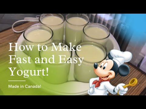 How to Make Fast and Easy Yogurt in Canada! | Làm Da Ua Siêu Nhanh in Canada